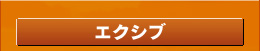 エクシブフォームへ